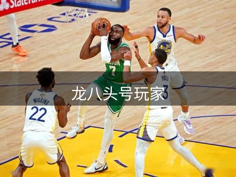 网站概况